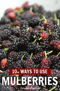 berries with the words 10 ways to use mulbberries on it in front of them