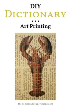 a book with an image of a lobster on it and the title diy dictionary art printing