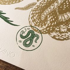 a close up of a green and gold snake on white paper