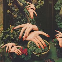 an art print with hands reaching out to touch another person's hand, surrounded by greenery