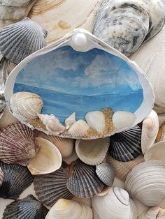 seashells and other sea shells on the beach