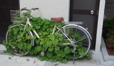 a bicycle that is sitting in the grass next to a door with plants growing on it