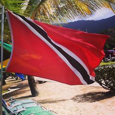 a large red flag hanging from the side of a palm tree next to beach chairs