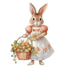 a watercolor painting of a bunny holding a basket of oranges