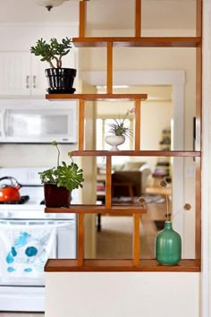 there is a shelf with plants on it in the kitchen