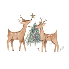 two deer standing next to each other in front of a tree with christmas decorations on it