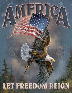 an american flag and eagle with the words let freedom reign