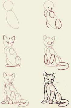 some drawings of cats sitting down and one cat is looking at the camera with its eyes closed