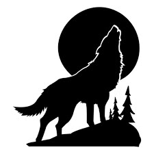 a wolf standing on top of a hill under a full moon