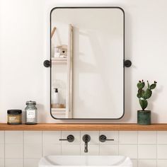 a bathroom sink sitting under a mirror next to a shelf with a potted plant