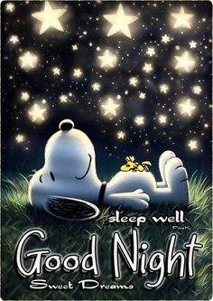 a cartoon character laying down on the grass with stars in the sky above it and text that reads, sleep well good night every dreams