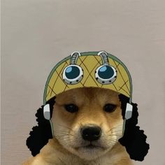 a brown dog wearing a yellow and black hat with headphones on it's ears