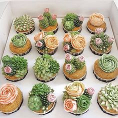 cupcakes decorated with flowers and succulents are in a white box