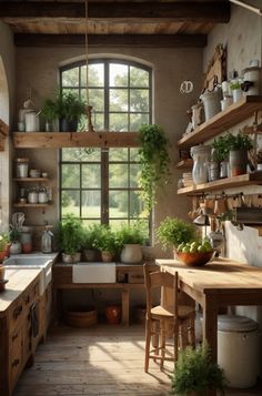 a kitchen filled with lots of potted plants