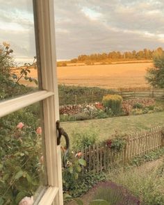 an open window looking out onto a field with flowers in the foreground and a wooden fence to the right