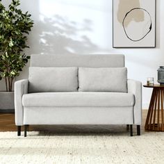 a living room with a white couch and potted plant on the floor next to it