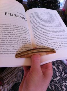 a person is holding an open book with a piece of wood sticking out of it