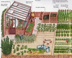 an illustrated diagram of a vegetable garden