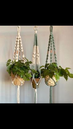 hanging macrame planters with plants in them