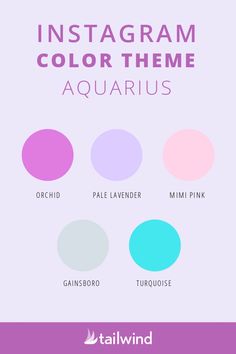 the instagramm color theme for aquarius