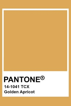 pantone's golden spice color is shown