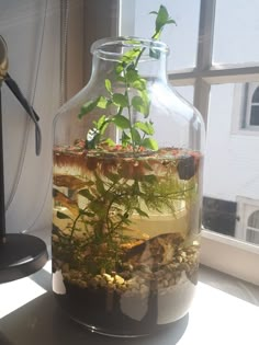 a glass vase filled with water and plants