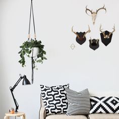 a living room with antlers on the wall and black and white pillows in it