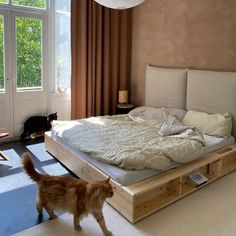 a dog standing in front of a bed with a wooden frame and mattress on it