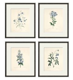 four framed flowers are shown in three different frames, one is blue and the other has green