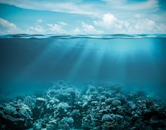 an underwater view of the ocean with rocks and corals