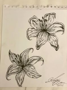 a drawing of two flowers on a piece of paper