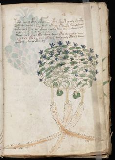 an old book with some drawings on the pages and writing in it, including two hands holding a tree