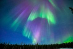 an aurora bore is seen in the night sky over trees and snow covered ground with bright lights