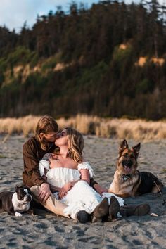 a man and woman are sitting on the beach with their two dogs, one is kissing