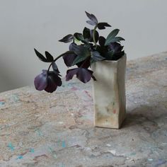 there is a small vase with flowers in it on the counter top next to a wall