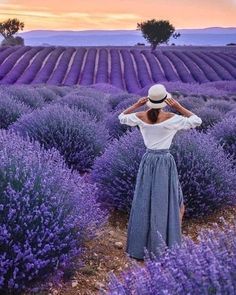 a woman standing in a lavender field with her back to the camera and looking at the sky