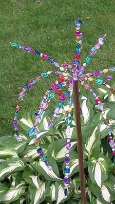 a plant with colorful beads on it in the grass