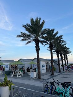 there are many palm trees and bicycles parked in front of the shops on the beach