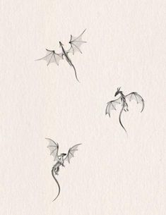 three dragon drawings on paper with one flying in the air and another flying down to the ground