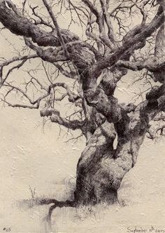 an old tree with no leaves is shown in this black and white drawing by person