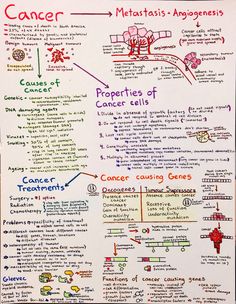 Biochemistry Notes, Medical Student Study, Oncology Nursing, Nursing School Studying, Medical School Studying, Nursing School Notes