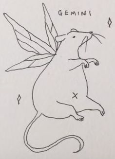 a drawing of a rat with wings on it's back and the words gemin written