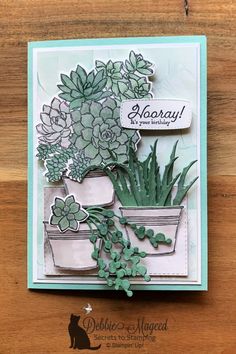 a card with some succulents on it