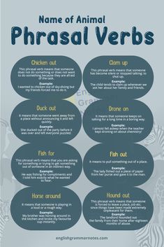 an animal phrasal verbs poster