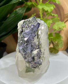 a piece of rock sitting on top of a table next to a potted plant