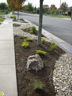 there is a rock and some plants in the dirt by the street side with cars parked on the road behind it