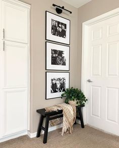 a black and white photo hangs on the wall next to a bench with a plant in it