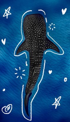 a drawing of a whale in the ocean with stars and hearts on it's back