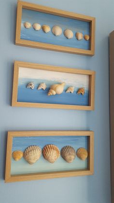 three framed pictures with seashells on them