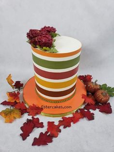 a multi - colored striped hat with fall leaves around it